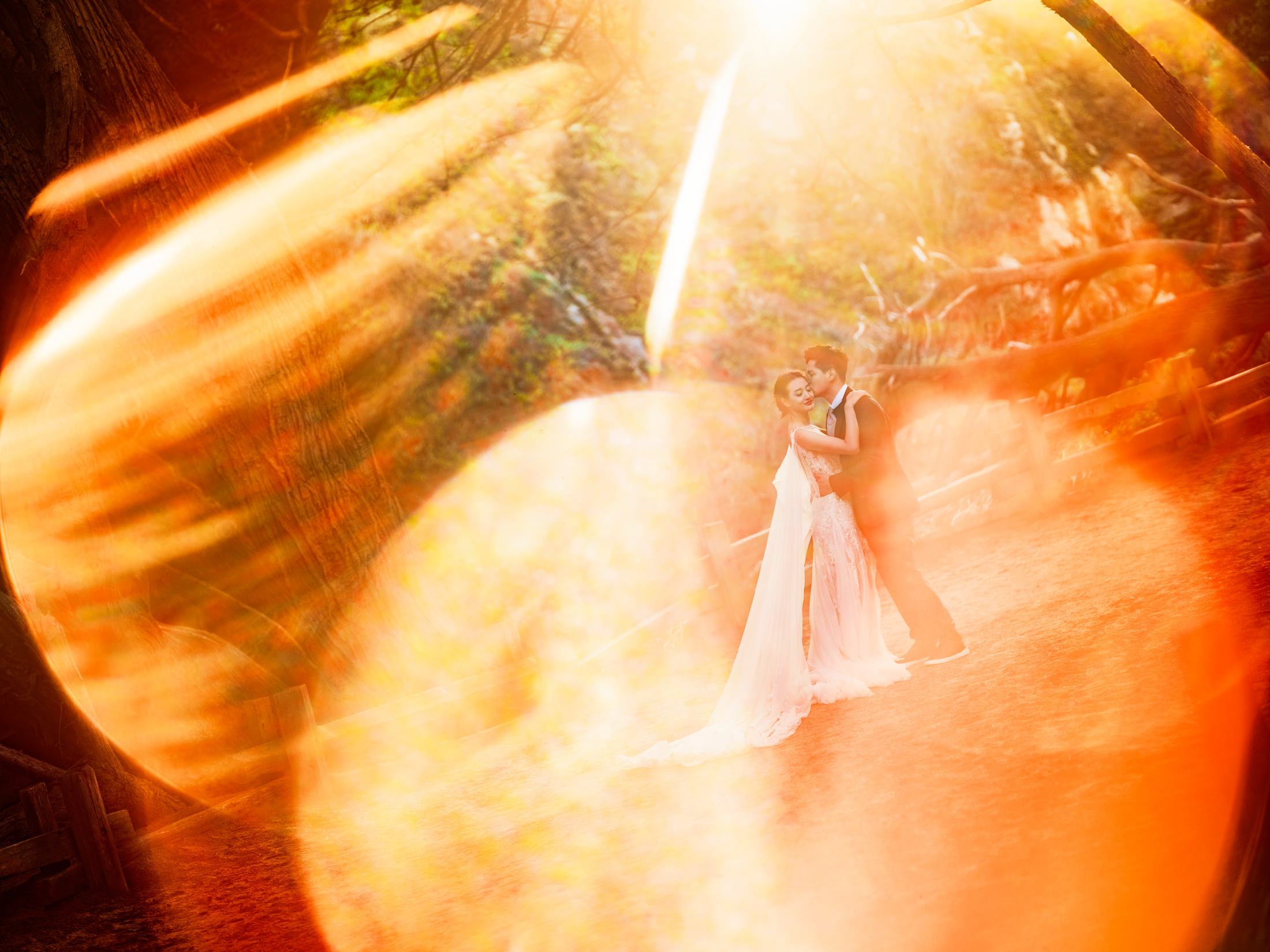 destination engagement photographer Big Sur California